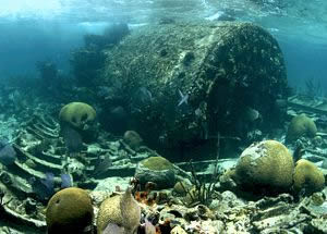 En este falso atolón, conocido como Banco Chinchorro, yacen los restos de múltiples naufragios y vestigios de accidentes marítimos.