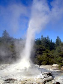 Geyser Lady Knox, Rotoura