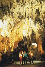 Grutas Waitomo. Nueva Zelanda