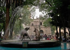 Coyoacán.