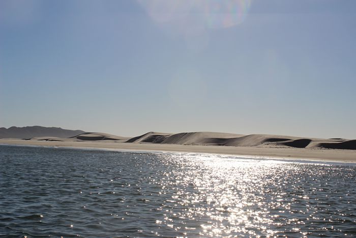 Isla Magdalena, BCS.