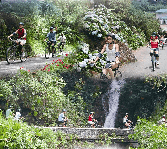 Blue Mountain Bicycle Tours. Kingston, Jamaica