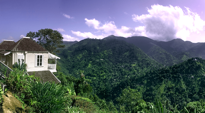 Strawberry Hill. Jamaica