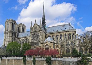 La Catedral de Notre-Dame. 