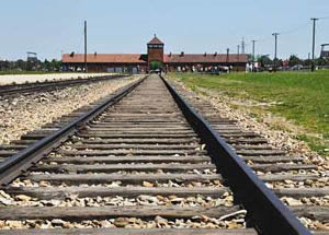 La vía del horror. Auschwitz.