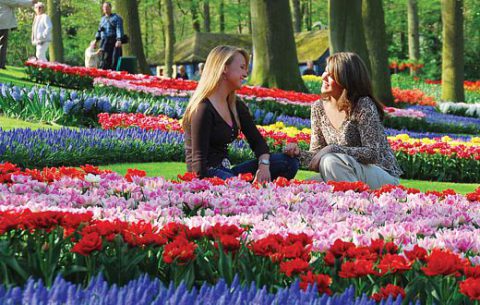 Keukenhof. Paseos y senderos cubiertos por miles de flores.