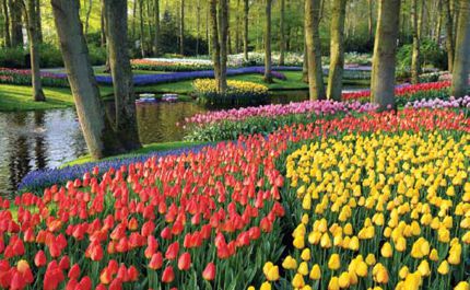 Paisajes de luz y color. Keukenhof.