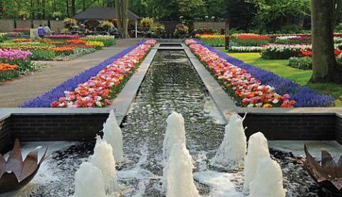 Fuentes y jardines perennes. Keukenhof.