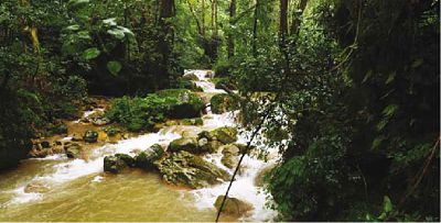 Arroyo El Real, de cascada El Salto