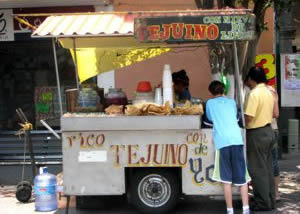 Puesto de Tejuino