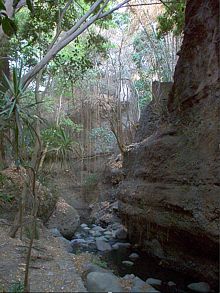 Amanalco.- Barranca y río.