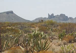 Biósfera de Mapimí. Desiertos de México.