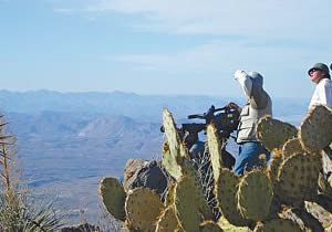 Desierto de Baja California. Desiertos de México.