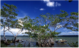 Laguna Guerrero.