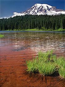 Parque nacional Monte Rainier.