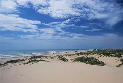 Playa Bagdad. Dunas.