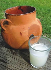 Pulque.