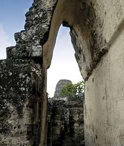 Arco Maya y crestería. Tikal.
