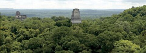 Uno de los sitios arqueológicos más notables de todo el mundo maya es Tikal, por sus majestuosas pirámides, acrópolis y sacbés.
