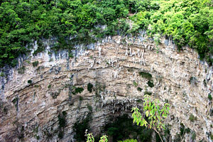 Sima de las Cotorras. Chiapas.