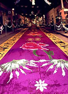 Tapete floral en Huamantla. Día de Muertos en Tlaxcala.