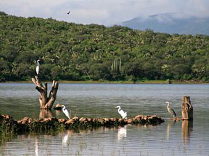 Presa Vaquero en Huejúcar.