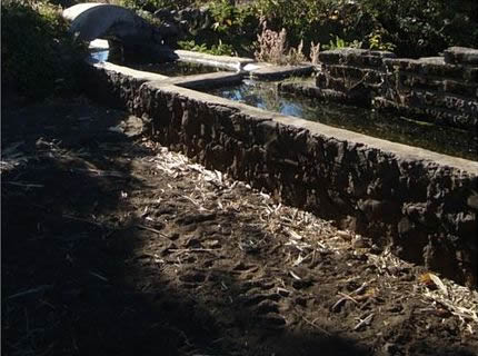 Fuente del Fresnito. Pila de las Culebras.