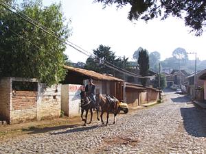 Turismo rural. Mazamitla.