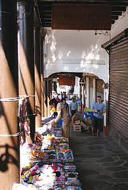 Zona Centro. Mazamitla.