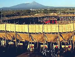 La Petatera y atrás el Nevado.