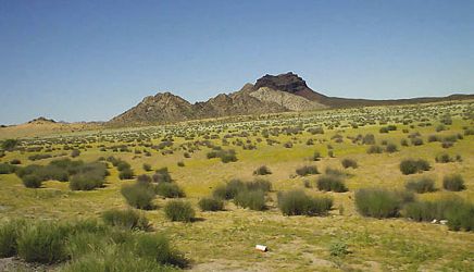 Biósfera El Pinacate. Sonora.