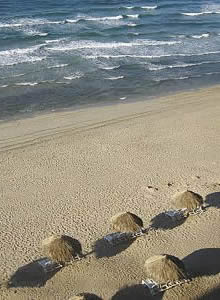 Playa de Sandy Beach Resort.