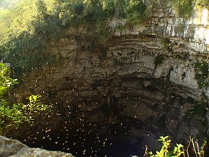 Sótano de las Golondrinas