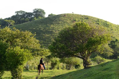 Cablagata hacia el cerro Farallón de Tumilco, atrás del guía.