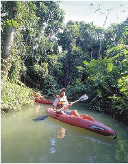 Pantanos de Centla.