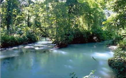 Pantanos de Centla. Tabasco