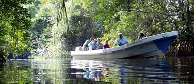 Recorrido por los Pantanos.