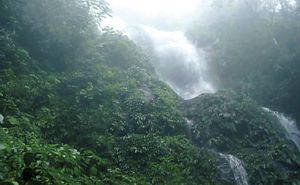 Cascada en Centla.