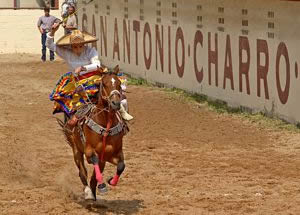 San Antonio Stock Show & Rodeo.