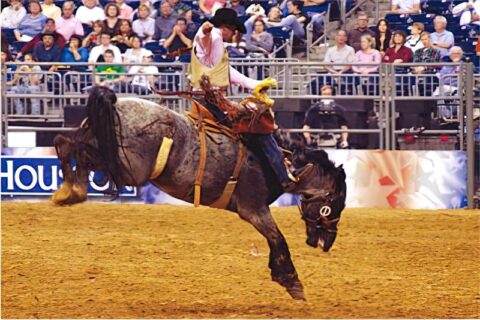 Rodeo en Texas.