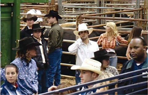 Rodeo en Texas.