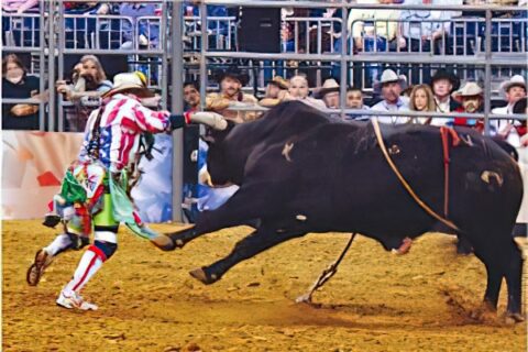 Rodeo en Texas.