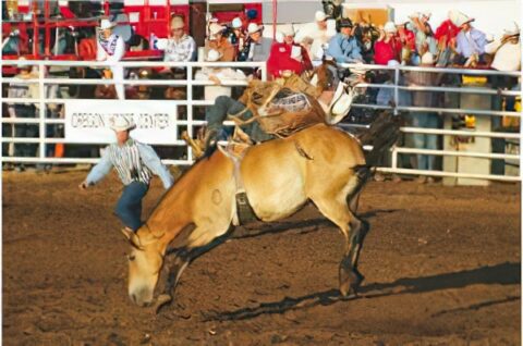 Rodeo en Texas.