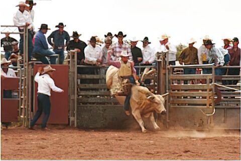 Rodeo en Texas.