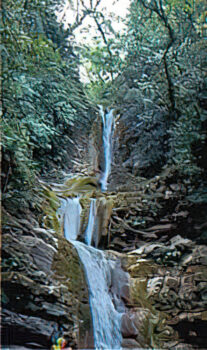 Cascada de Xilitla