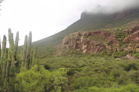 Cañón de Nacapule.