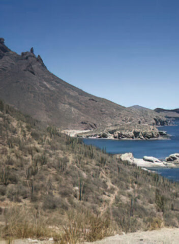 Bahía de San Carlos y cerro Tetakawi.