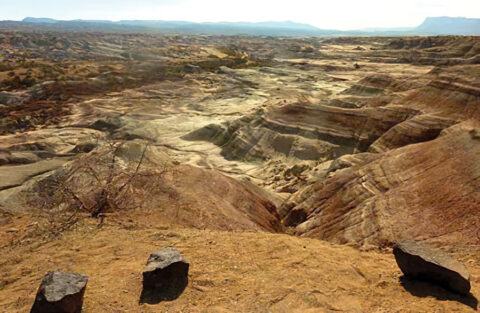 Valle Pintado. Parque de la Luna. ARgentina.