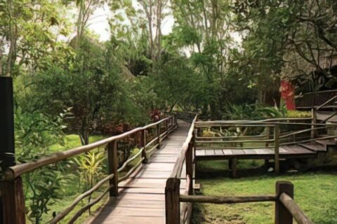 Centro ecoturístico Las Guacamayas.