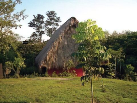 Cabaña ecológica